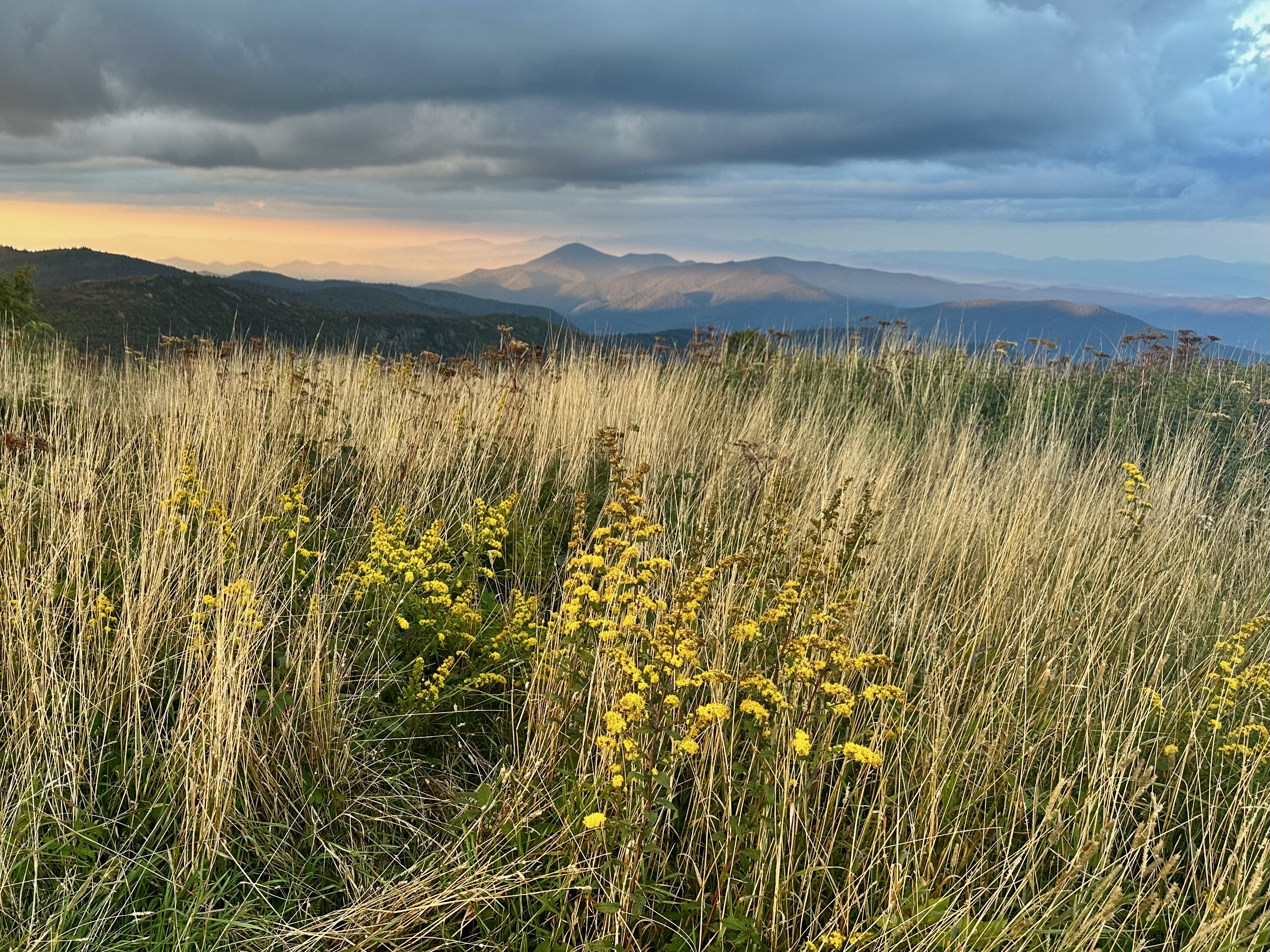 Golden mountain grasses and ridgelines under a moody Blue Ridge sky